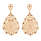 Traditional Ethnic Jewellery Rhinestone Hollow Flower Water Drop Holiday Earring-7